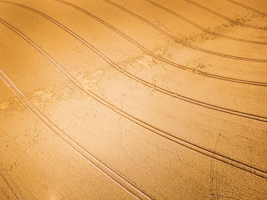 平板电脑在智能生活场景中的核心作用与选型指南