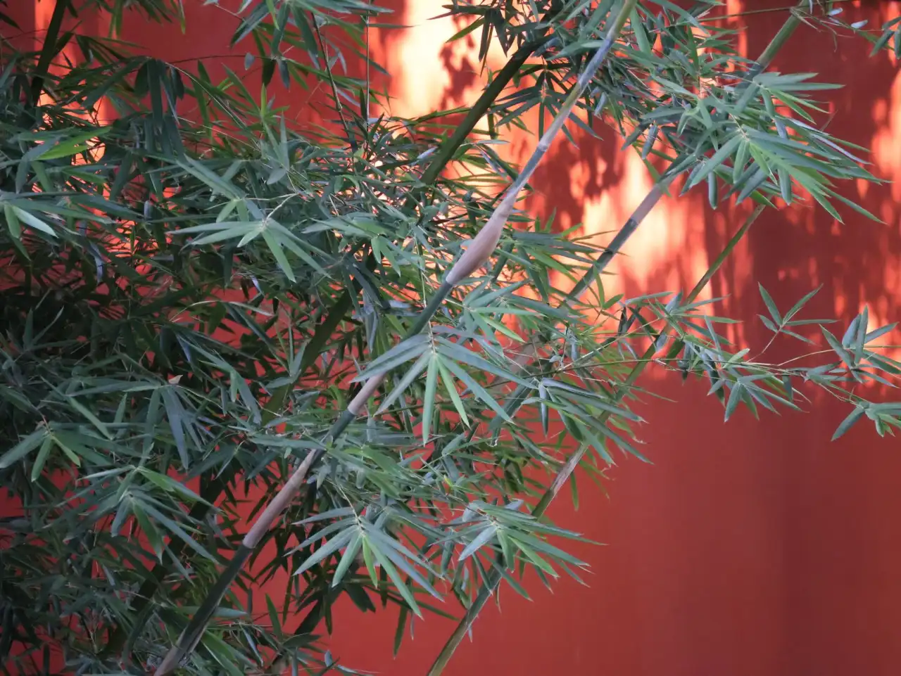 长沙企业采购智能设备与平板电脑的选型要点与技术参数解析